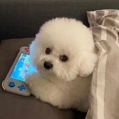 冰汽时代全成就攻略